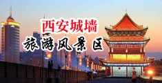 使劲操我的逼中国陕西-西安城墙旅游风景区