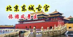 日嫩麻逼中国北京-东城古宫旅游风景区